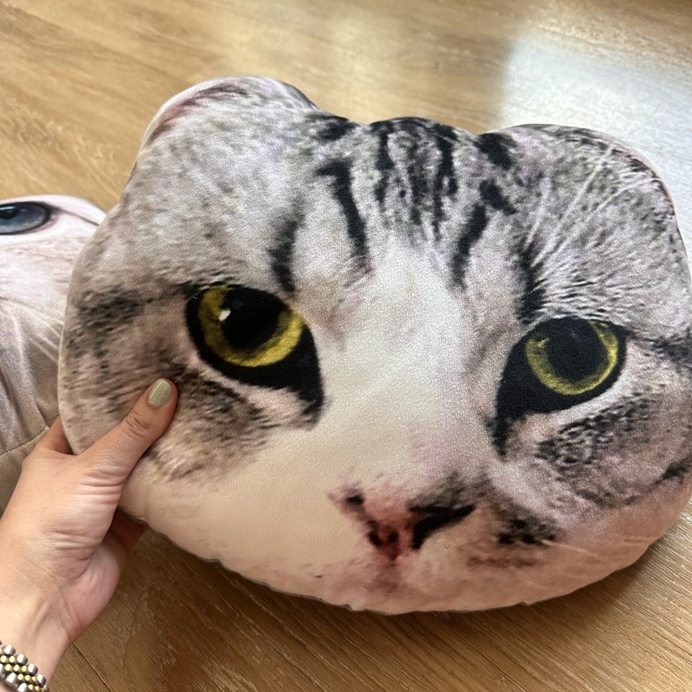 Taylor Swift Meredith & Olivia Pillows Original Merch (Rep Era) - Picture 5 of 7